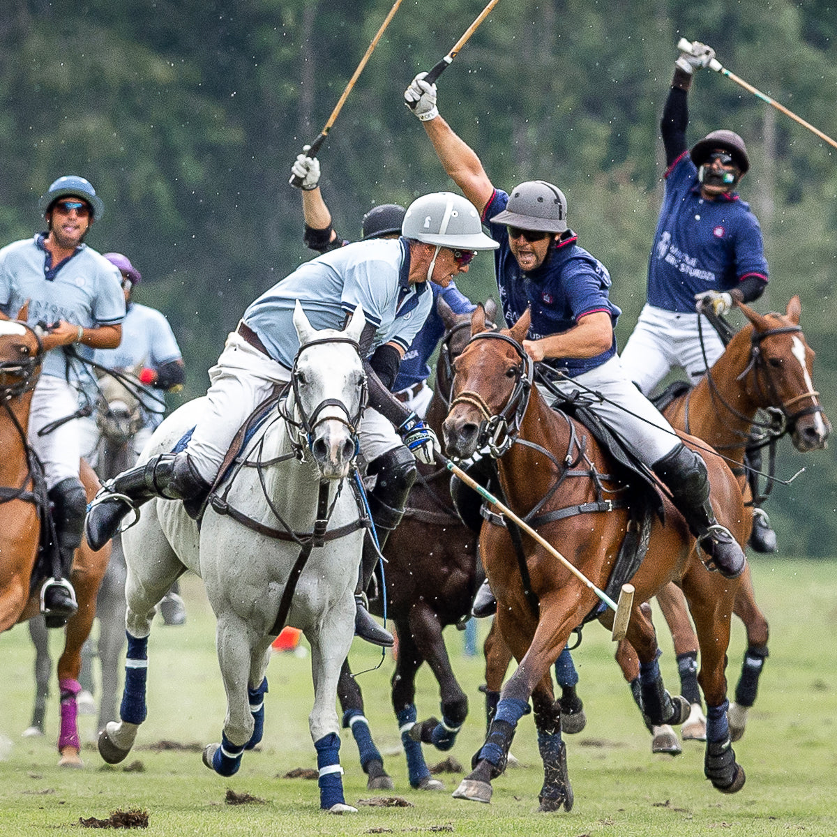 KA/NOA newsletter, August 2019 -- Polo, polos and tango!